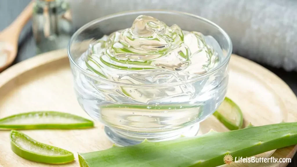 एलोवेरा के फायदे: स्वस्थ त्वचा, बाल और बेहतर स्वास्थ्य के लिए – Aloe Vera Benefits