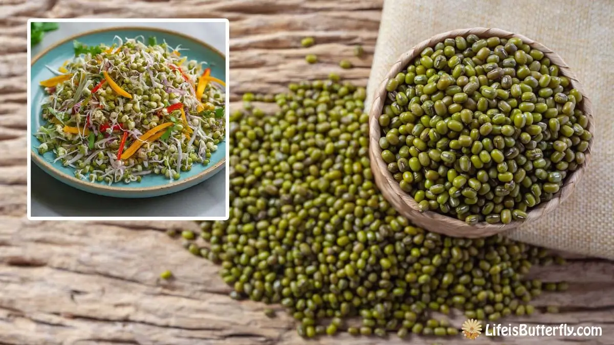 Green Moong Sprouts Benefits