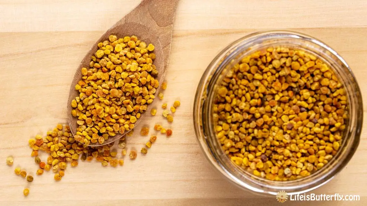Methi Water Benefits - Methi Dane Ke Fayde Hindi